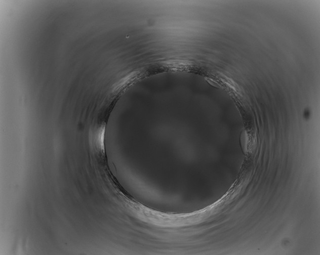 X0000100200047200806061332