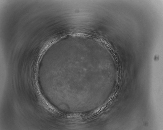 X0000100200049200806061332