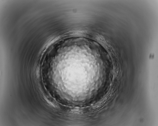 X0000100200050200806061332