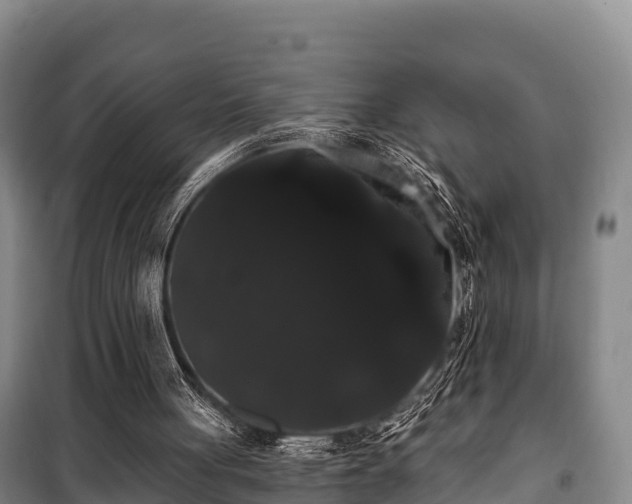 X0000100200051200806061332