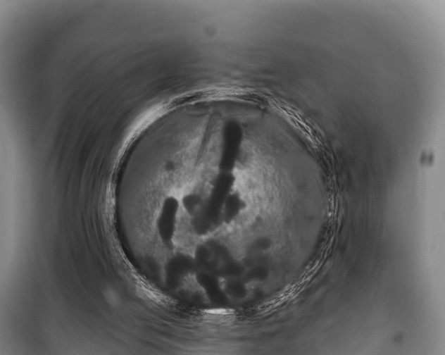 X0000100200053200806061332