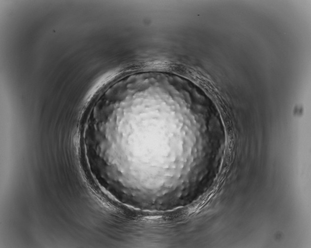 X0000100200054200806061332