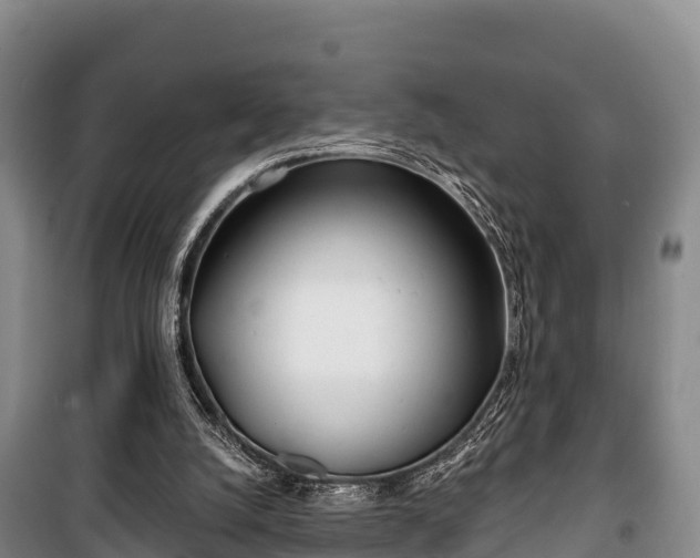 X0000100200056200806061332