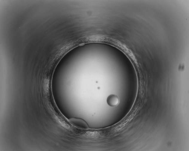 X0000100200057200806061332