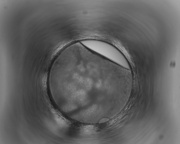 X0000100200058200806061332