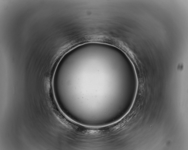 X0000100200059200806061332