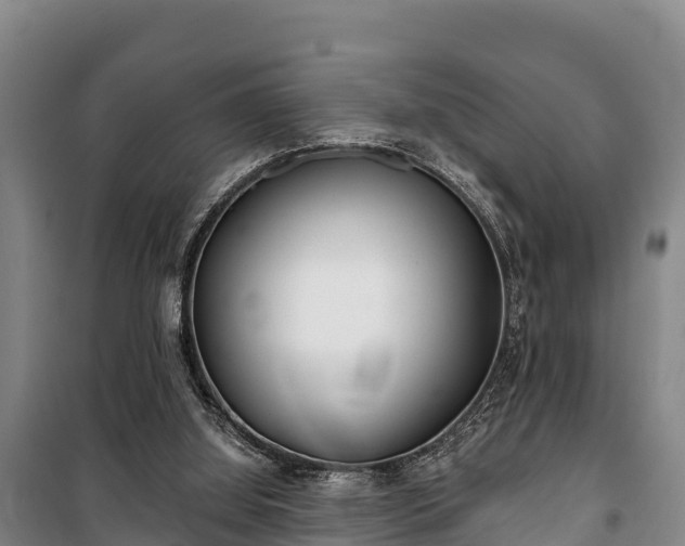 X0000100200060200806061332