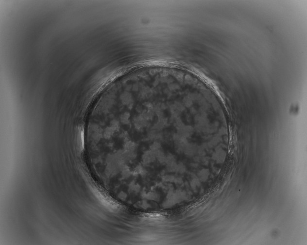 X0000100200061200806061332