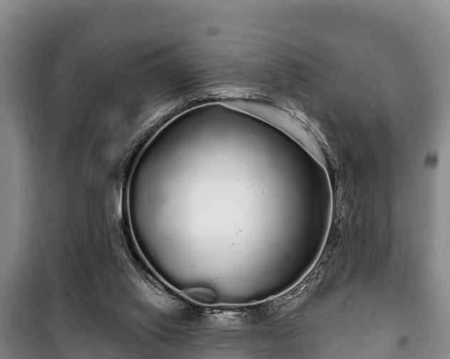 X0000100200062200806061332