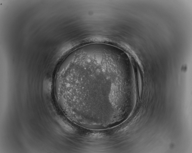 X0000100200063200806061332