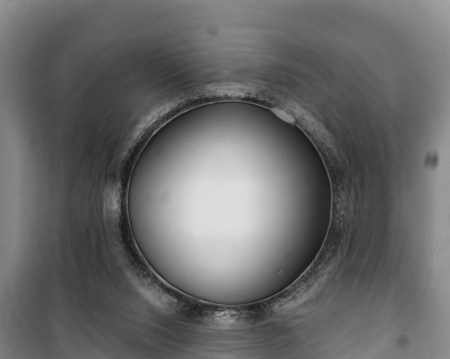 X0000100200064200806061332