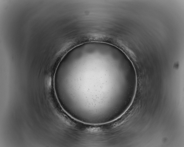 X0000100200067200806061332