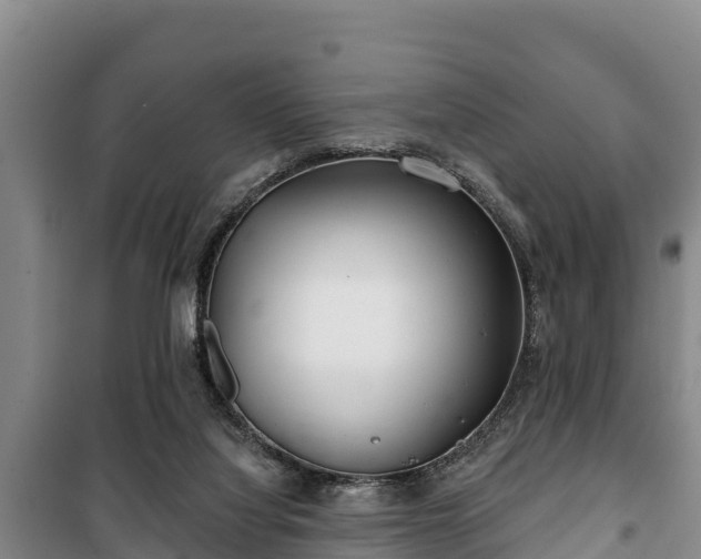 X0000100200068200806061332