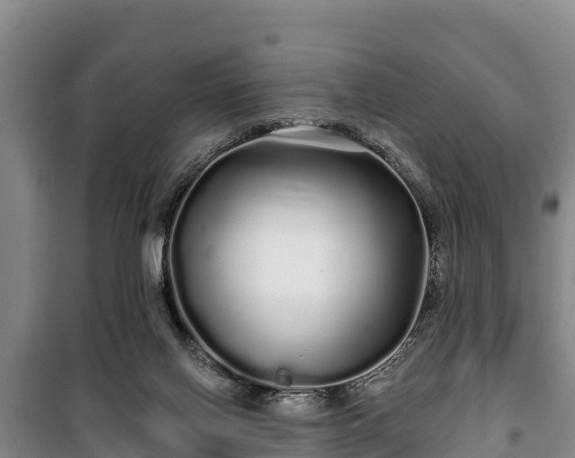 X0000100200070200806061332