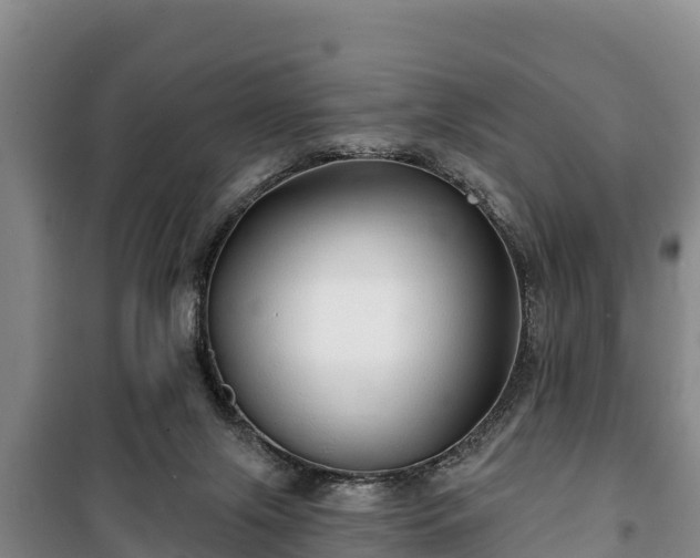 X0000100200071200806061332