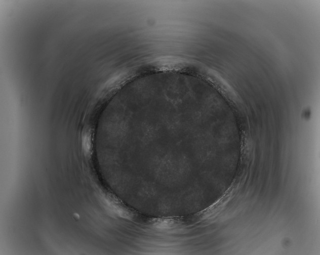 X0000100200074200806061332