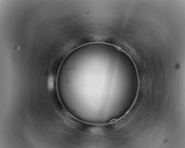 X0000100200075200806061332