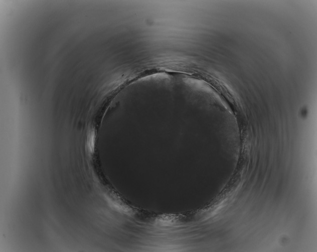 X0000100200076200806061332