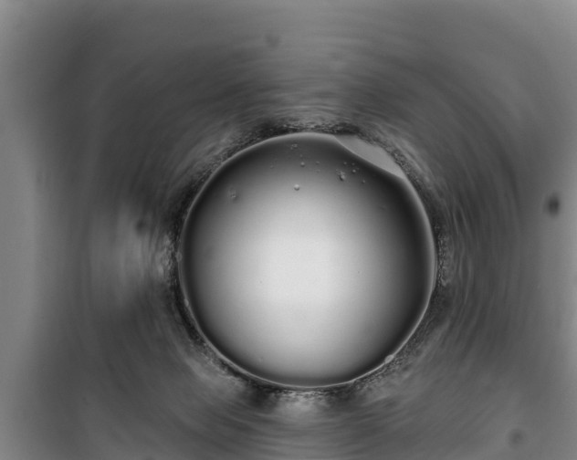 X0000100200077200806061332