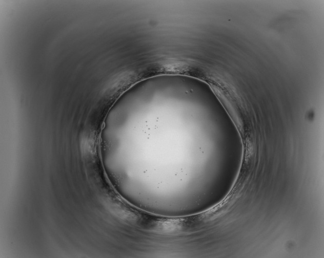 X0000100200078200806061332