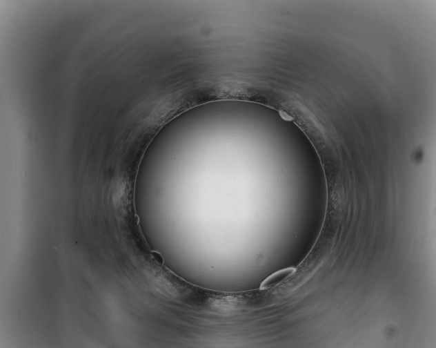 X0000100200079200806061332