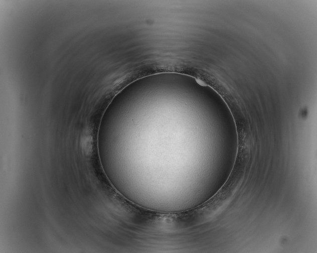 X0000100200080200806061332