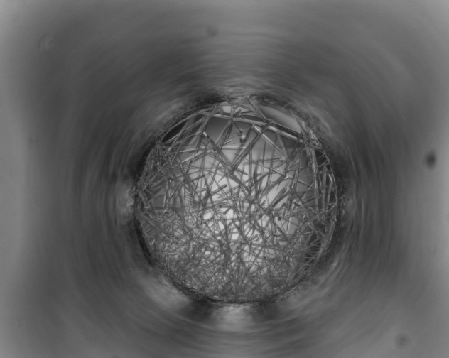 X0000100200081200806061332