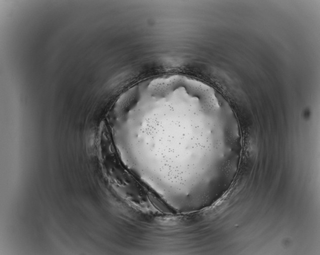 X0000100200082200806061332