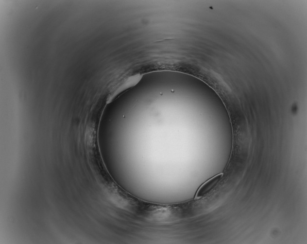 X0000100200083200806061332