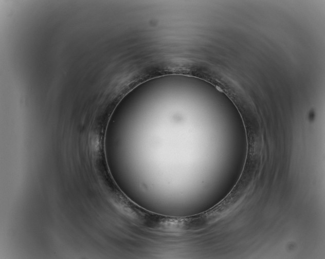 X0000100200084200806061332