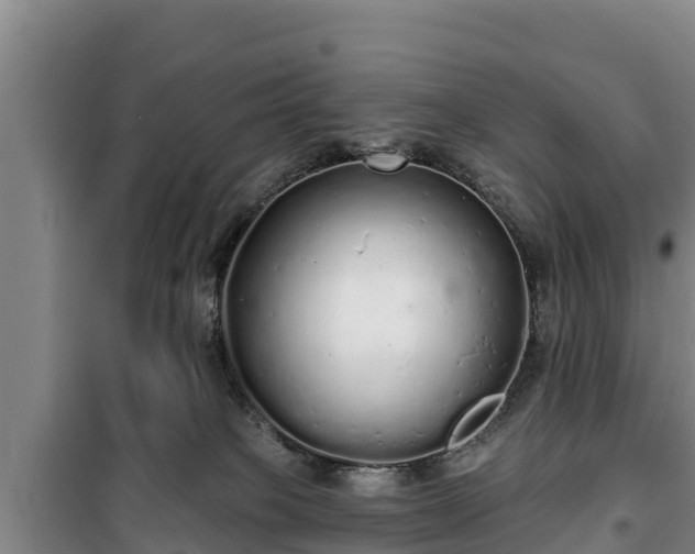 X0000100200085200806061332