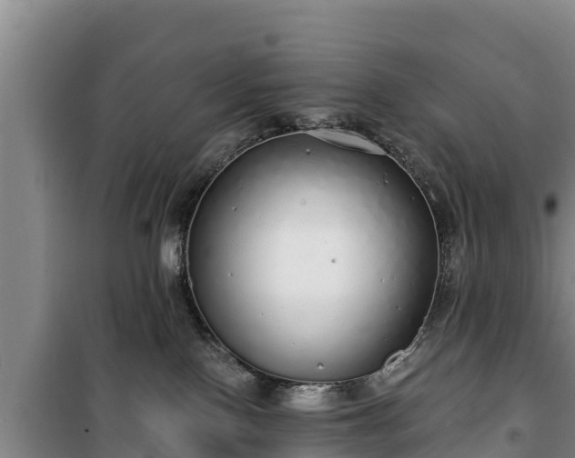 X0000100200090200806061332