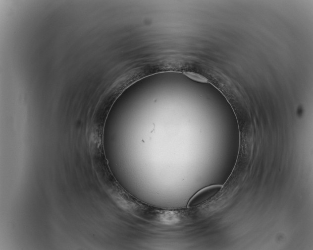 X0000100200091200806061332