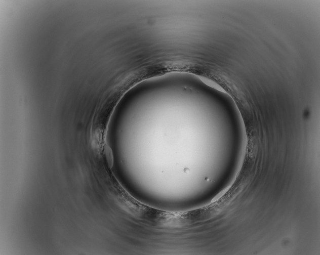 X0000100200093200806061332