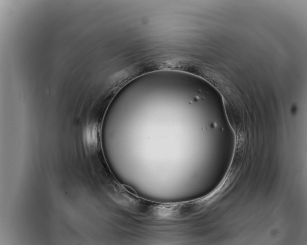 X0000100200094200806061332