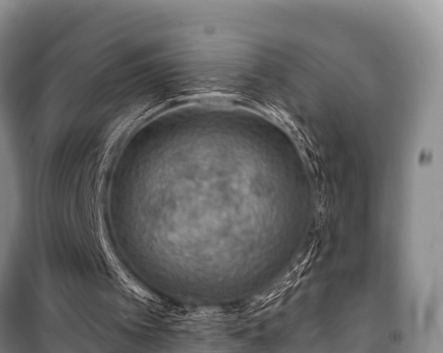 X0000100200097200806061332