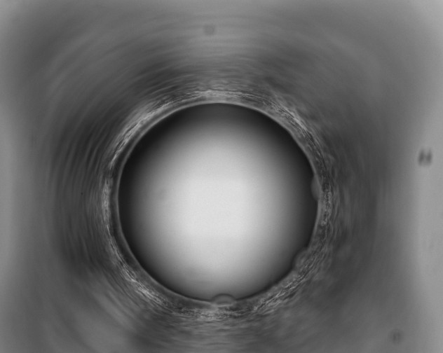 X0000100200098200806061332