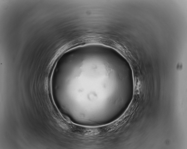 X0000100200099200806061332