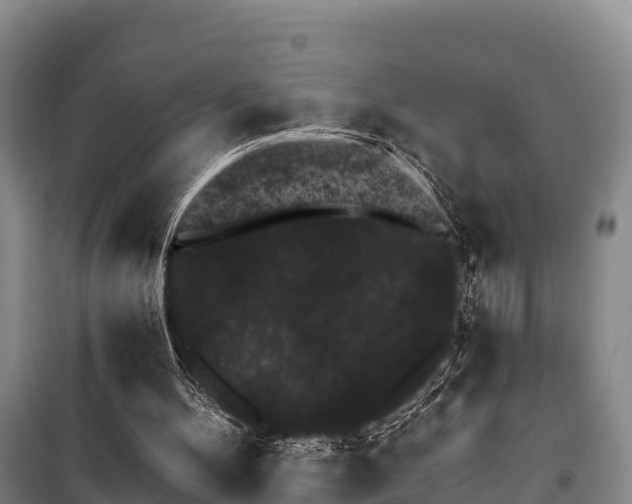 X0000100200100200806061332