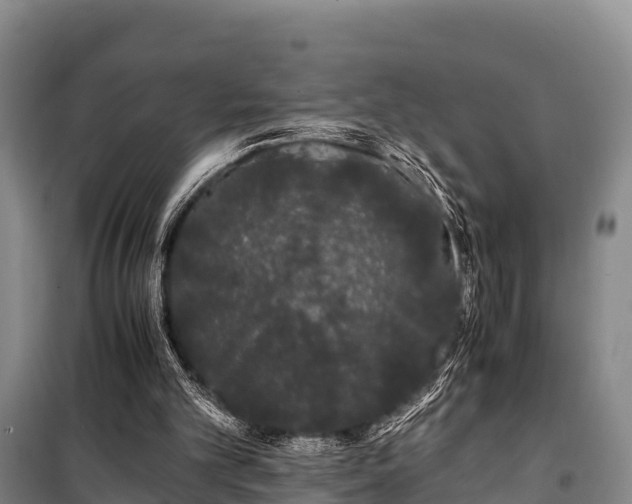 X0000100200101200806061332