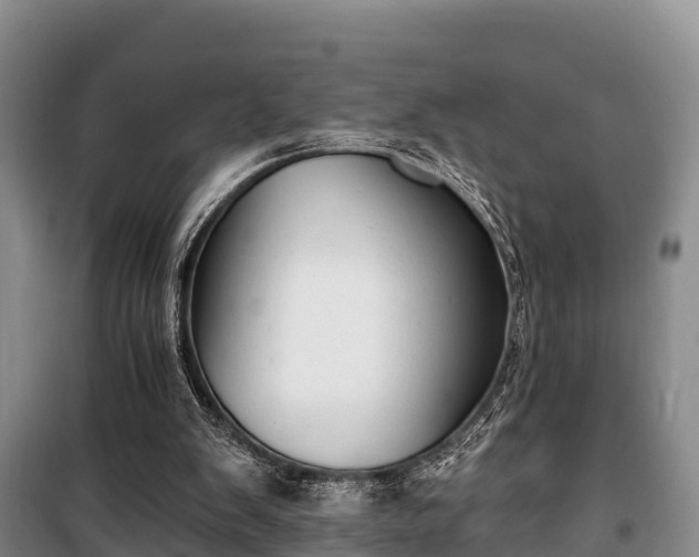 X0000100200103200806061332