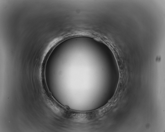 X0000100200104200806061332