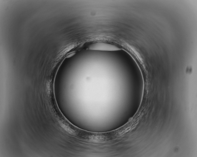 X0000100200105200806061332