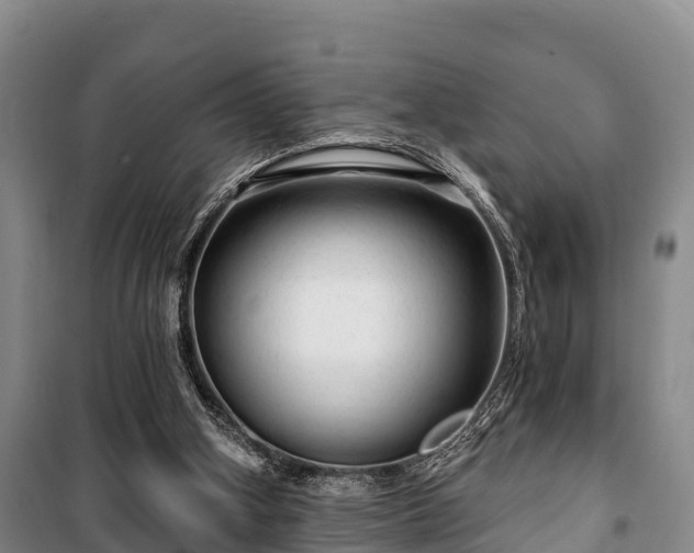 X0000100200106200806061332