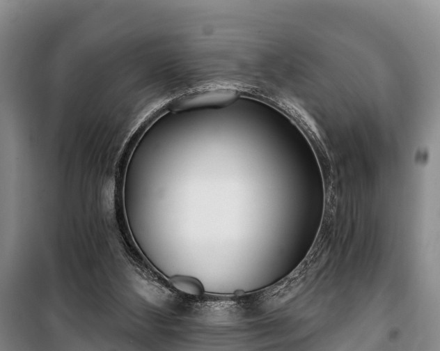 X0000100200108200806061331