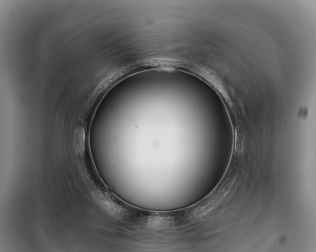 X0000100200109200806061331