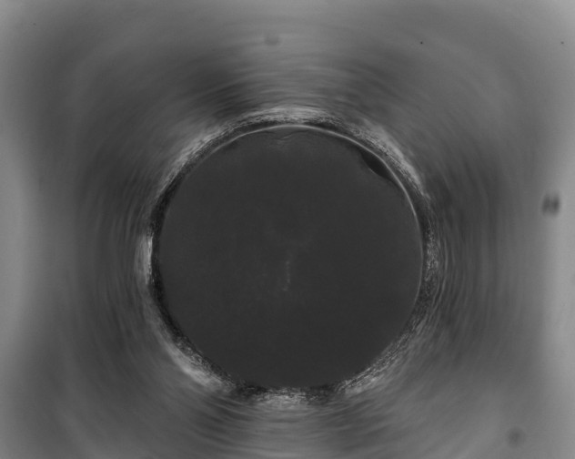 X0000100200110200806061331