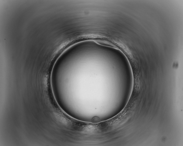 X0000100200111200806061331