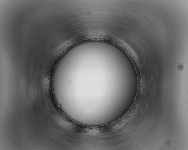 X0000100200113200806061331