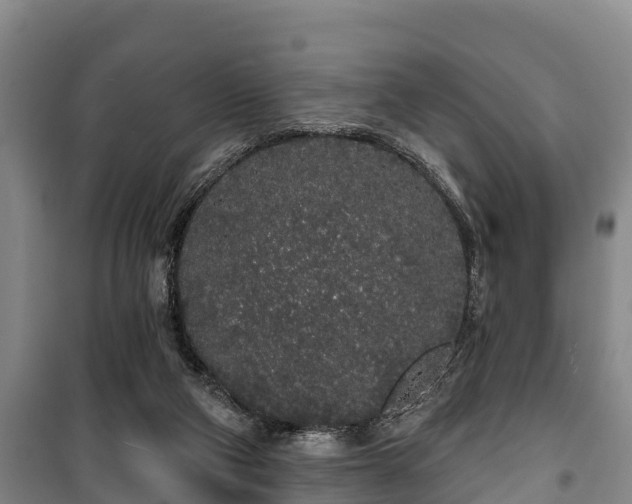 X0000100200114200806061331